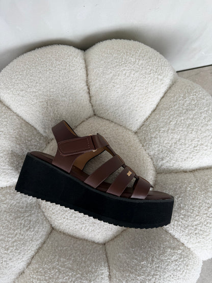 Sandalias 14937 z019 coffe