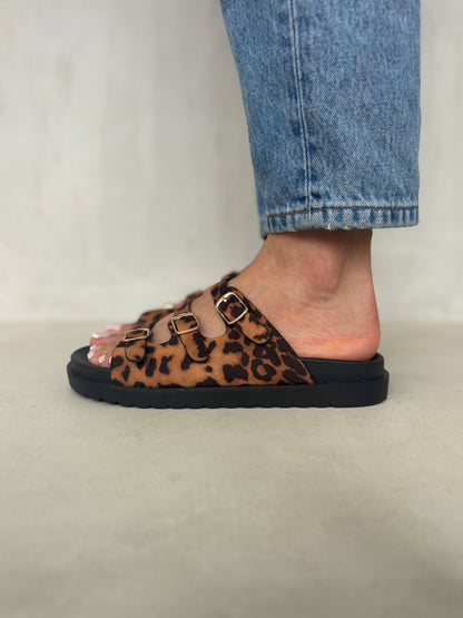 14422 – Sandalias Leopardo con Triple Hebilla y Suela Acolchonada